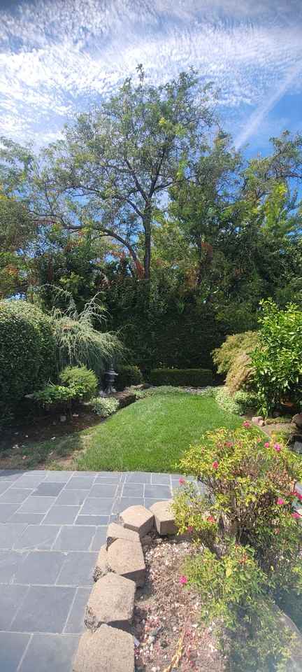 4120 Cristobal Way #NA - Photo 2 of 42