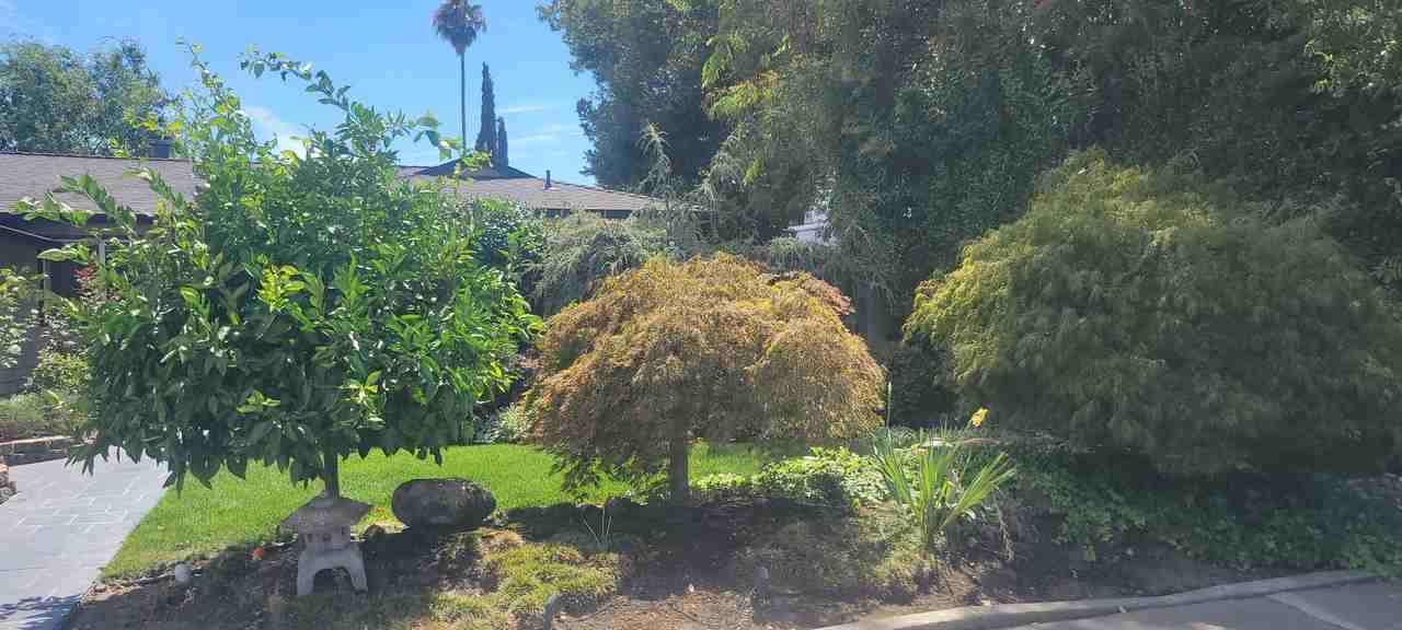 4120 Cristobal Way #NA - Photo 5 of 42