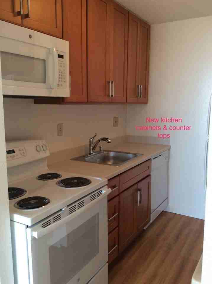 1013 Prospect St #915 - Photo 3 of 16