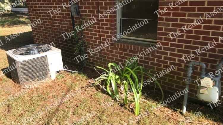 709 Center St - Photo 7 of 15