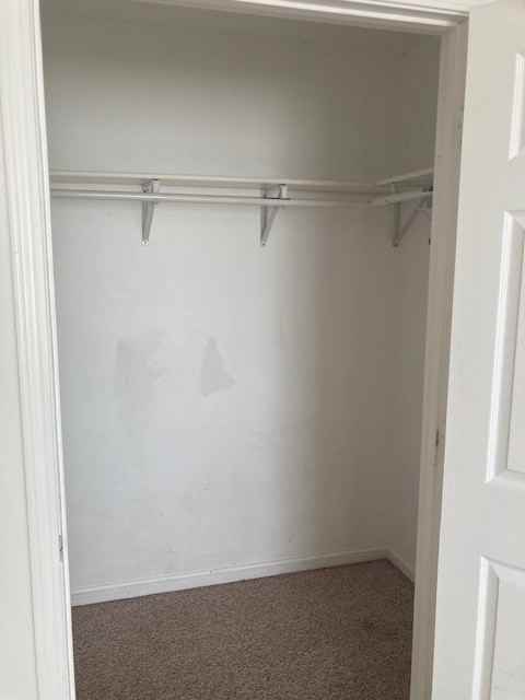 2923 W Louise St #2923-2 - Photo 6 of 9