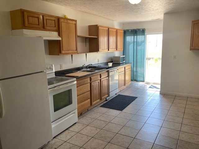 2923 W Louise St #2923-2 - Photo 2 of 9