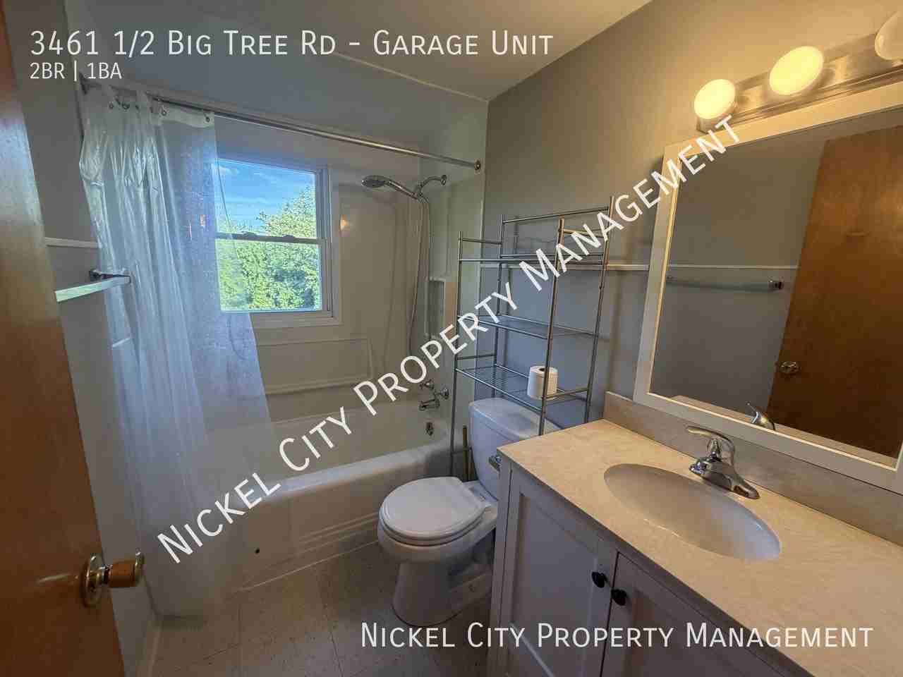3461 1/2 Big Tree Rd - Photo 7 of 8