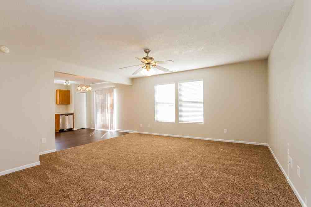 708 Wheatgrass Dr - Photo 4 of 15