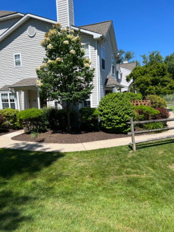 8804 Spruce Mill Dr - Photo 2 of 24
