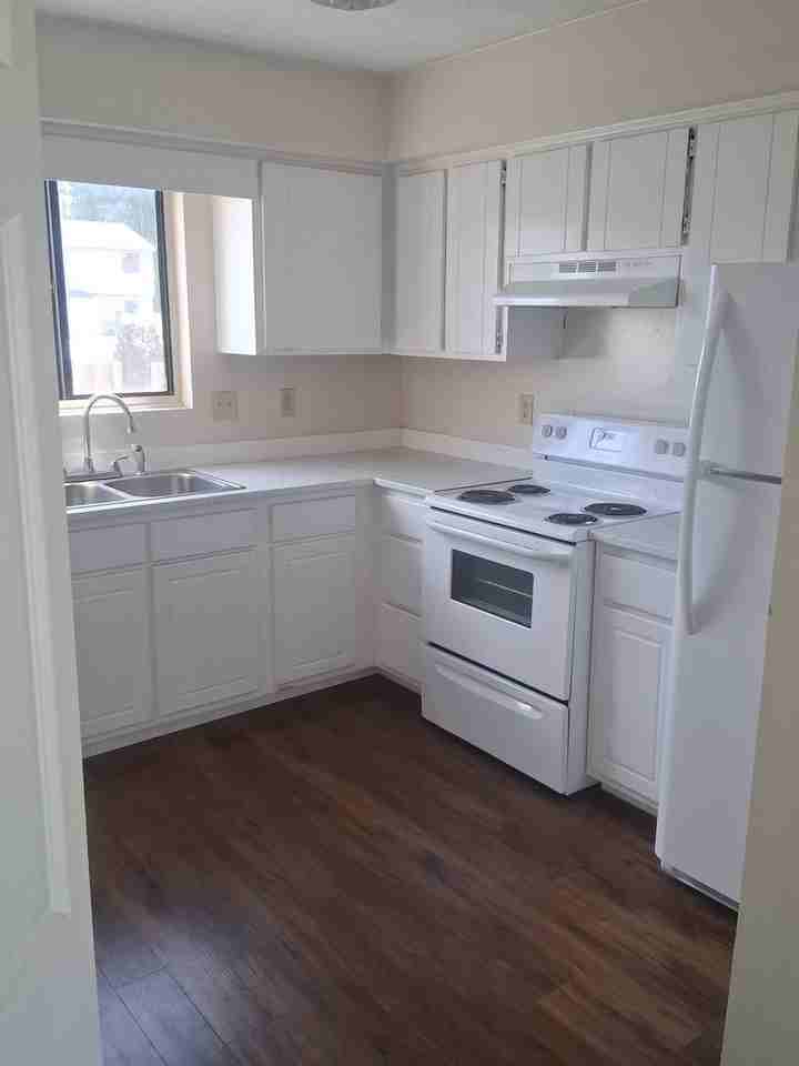 Pine Villa Town Houses - Photo 3 of 9
