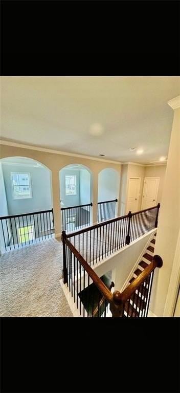 3112 Avenel Ct - Photo 7 of 15