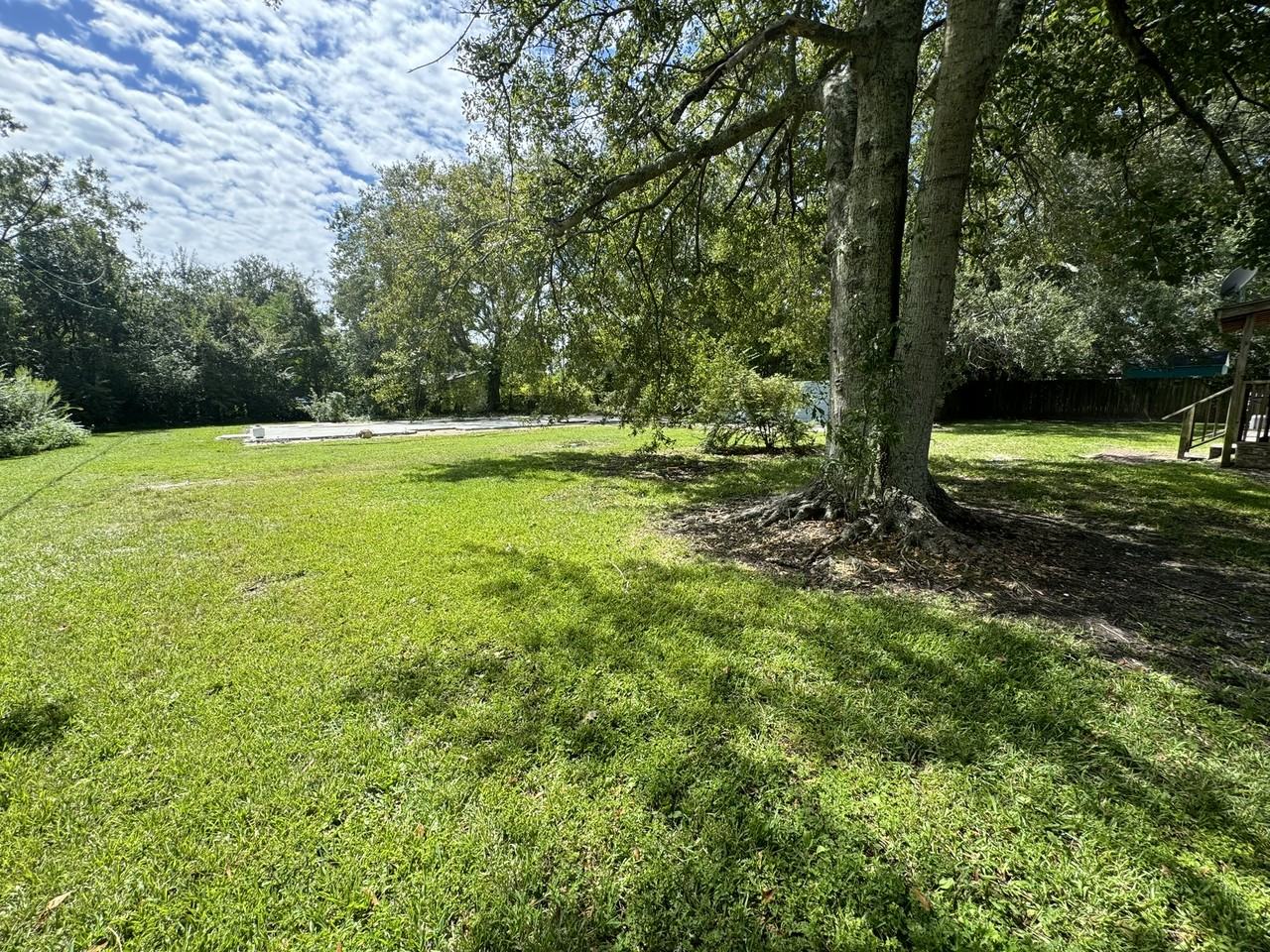 1210 Live Oak Ave #1 - Photo 5 of 15