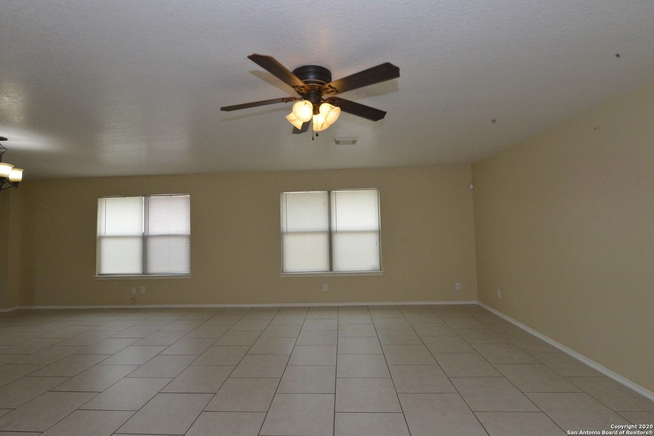 7239 Dwarf Palm - Photo 2 of 17