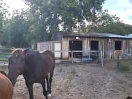 featured image of 11115B Pinto Dr
