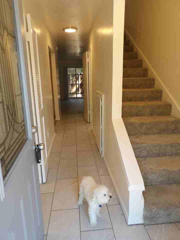 4300 Travis St #205 - Photo 2 of 28