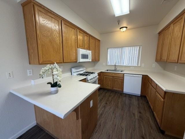 2917 Snyder Ave #B - Photo 4 of 15