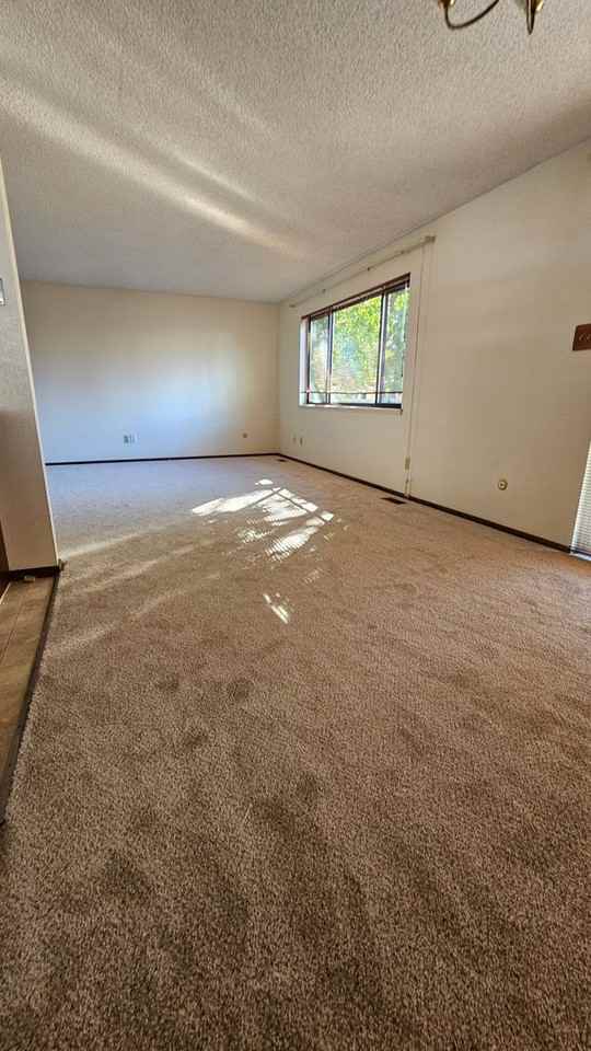 13884 W 68th Dr - Photo 3 of 19