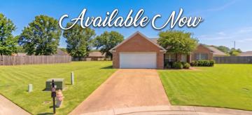 featured image of 164 Julius Cv