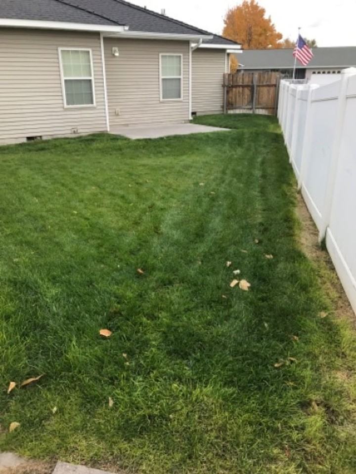 369 Scott Ct - Photo 3 of 15