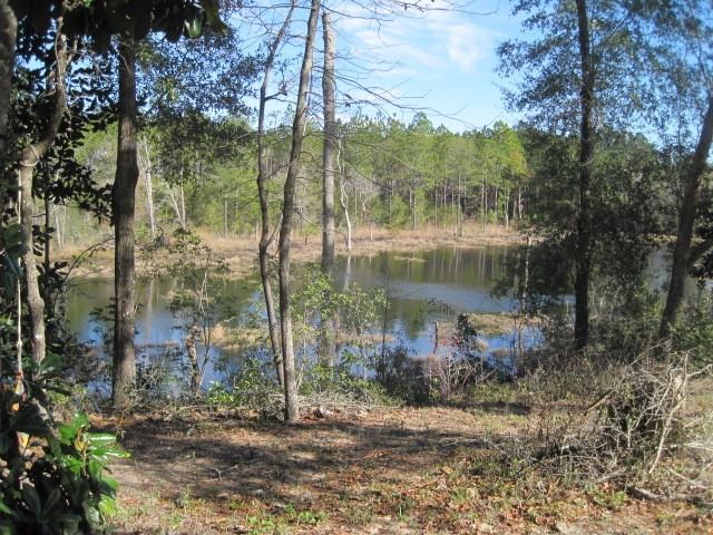 474 Mango Ln - Photo 6 of 27