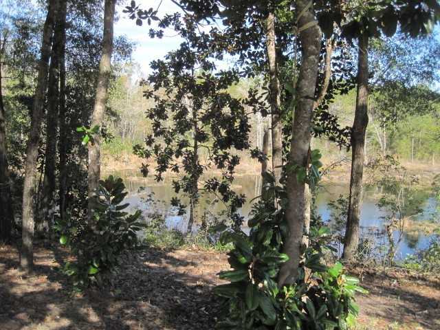 474 Mango Ln - Photo 7 of 27