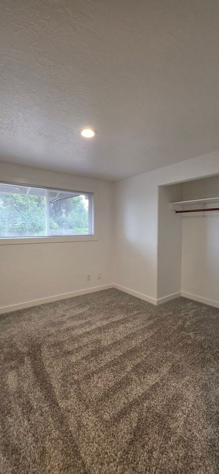 337 E Polk St - Photo 4 of 20