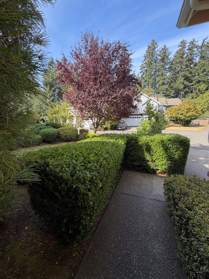 15309 57th Pl W - Photo 4 of 50