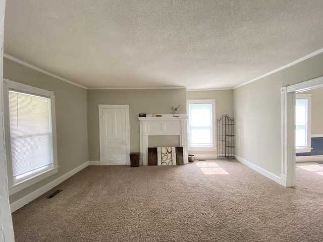 102 Northview Dr - Photo 7 of 18