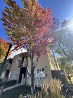 featured image of 502 S 15th St #1