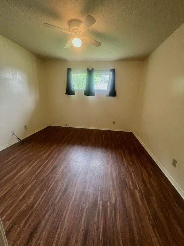 318 Holland St #C - Photo 6 of 8