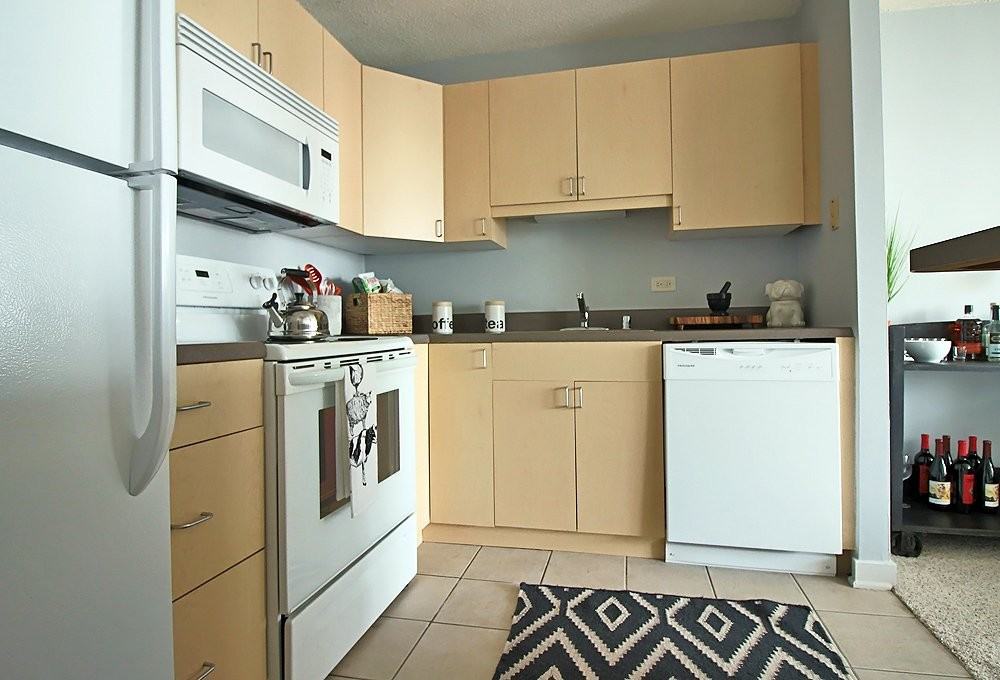 1189 S Michigan Ave #1106 - Photo 2 of 20