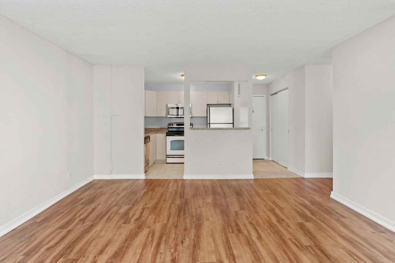 1189 S Michigan Ave #1106 - Photo 4 of 20