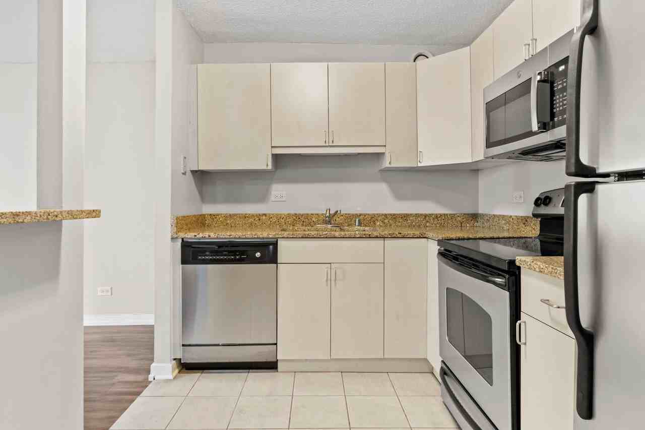 1189 S Michigan Ave #1106 - Photo 6 of 20
