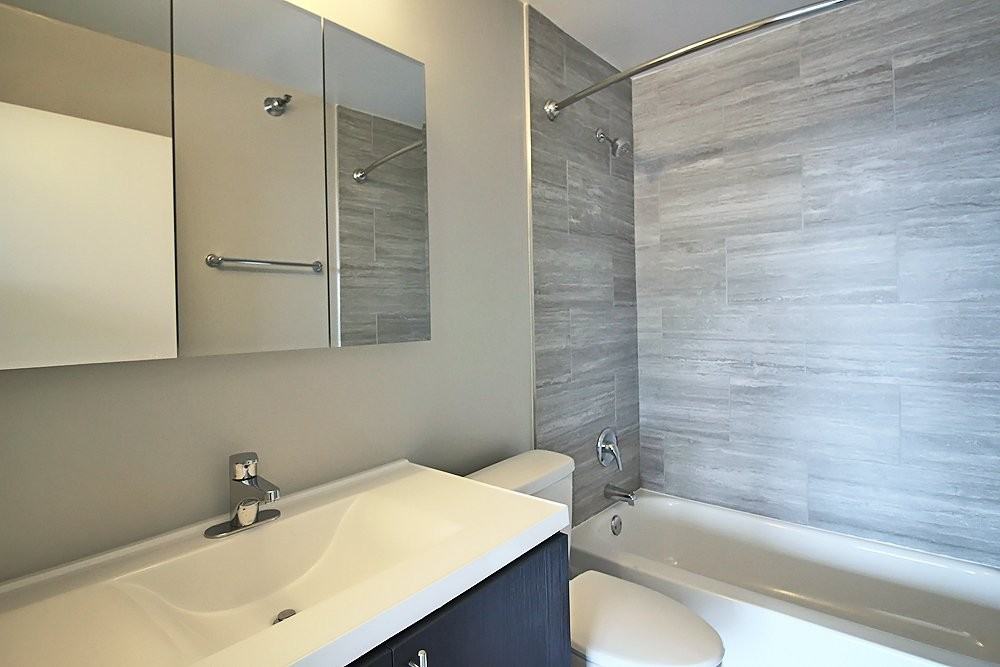 29 E Delaware Pl #11F - Photo 5 of 20