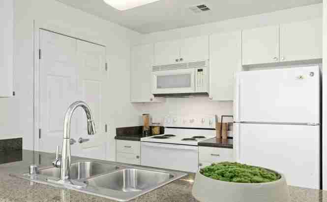 1550 Technology Drive, Unit 3069 - Photo 7 of 25