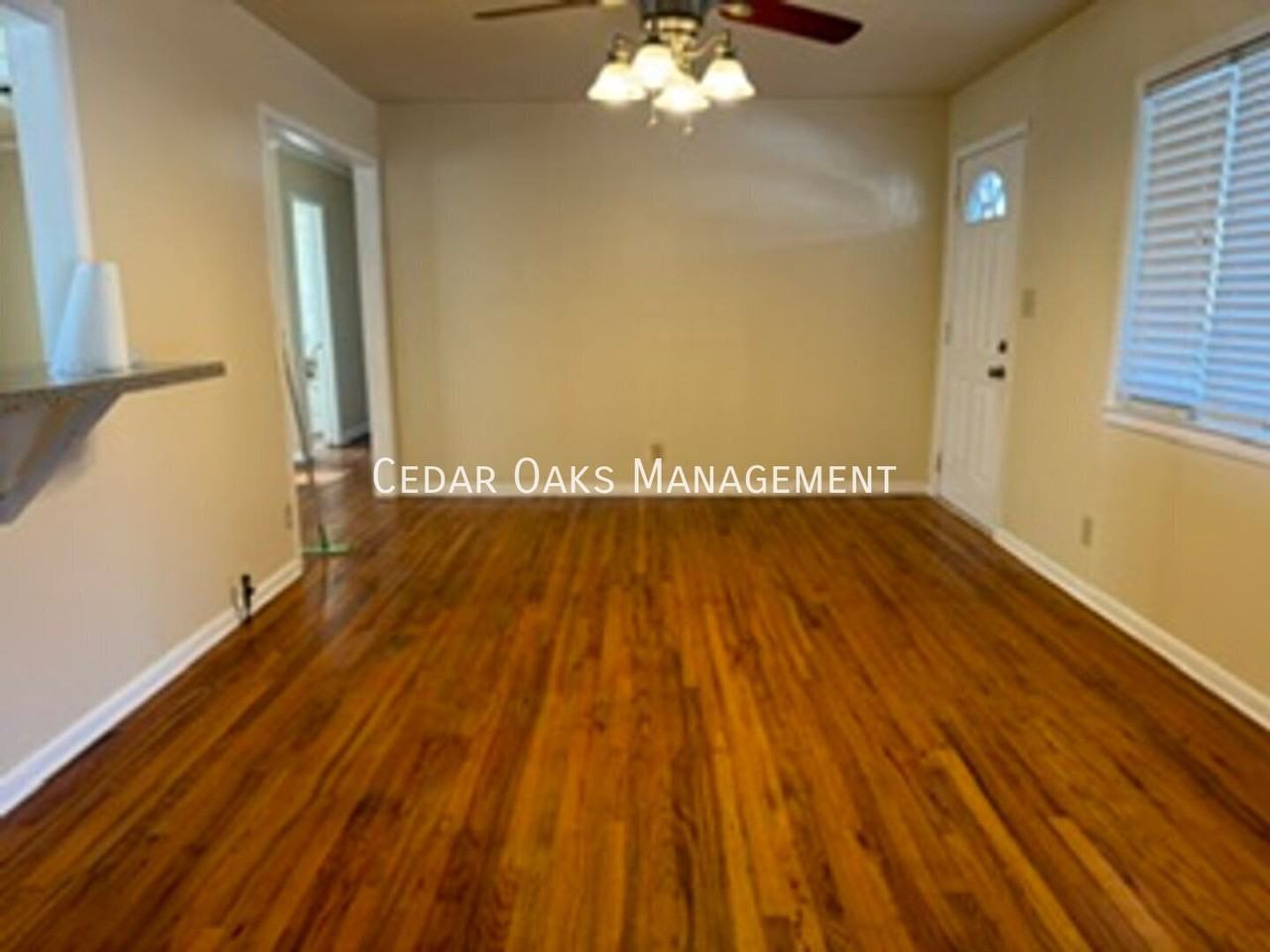 217 Perry Ln - Photo 3 of 18