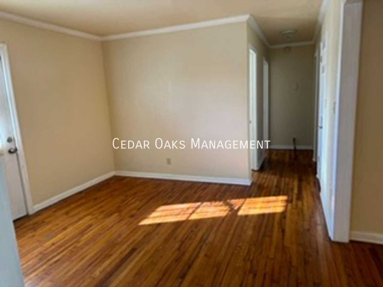 217 Perry Ln - Photo 4 of 18