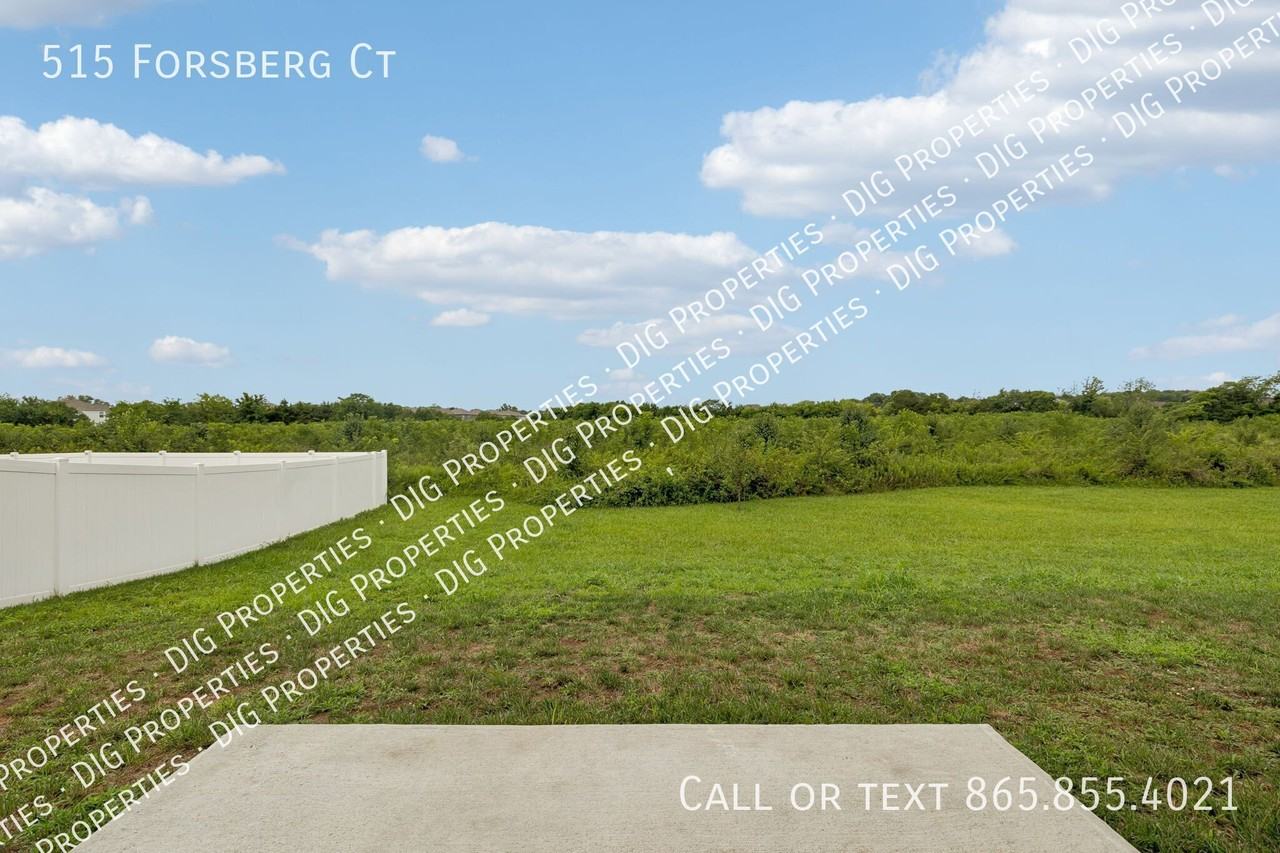 515 Forsberg Ct - Photo 6 of 41