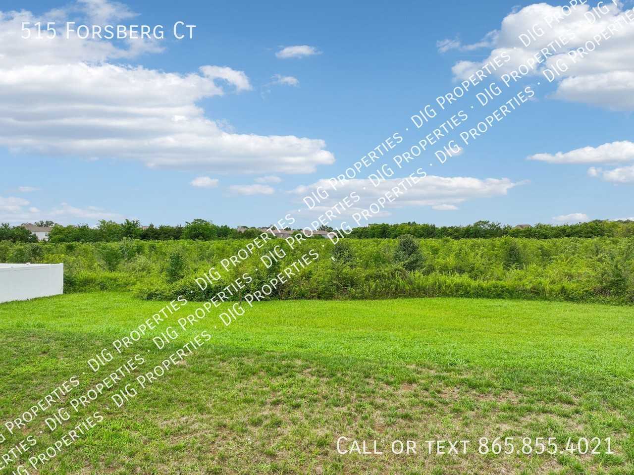 515 Forsberg Ct - Photo 7 of 41