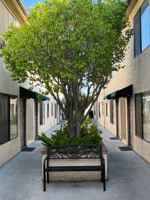 featured image of 226 E Elmwood Ave