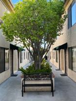 elm226 - Photo 1 of 1