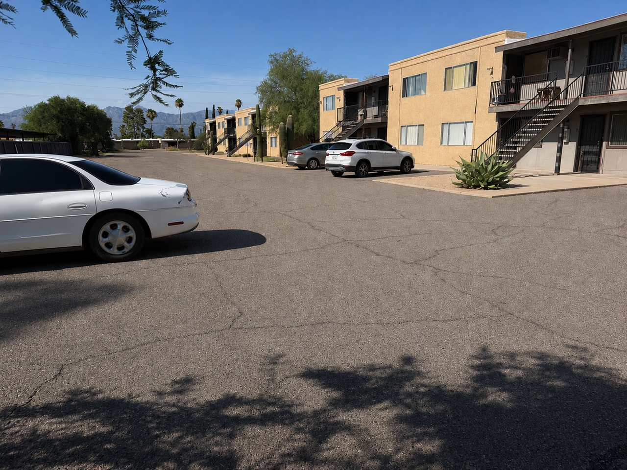 Affordable Housing Studio and 1 - Photo 7 of 24