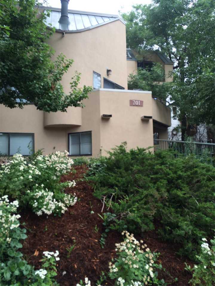 701 Pearl Street, #5 - Photo 3 of 33