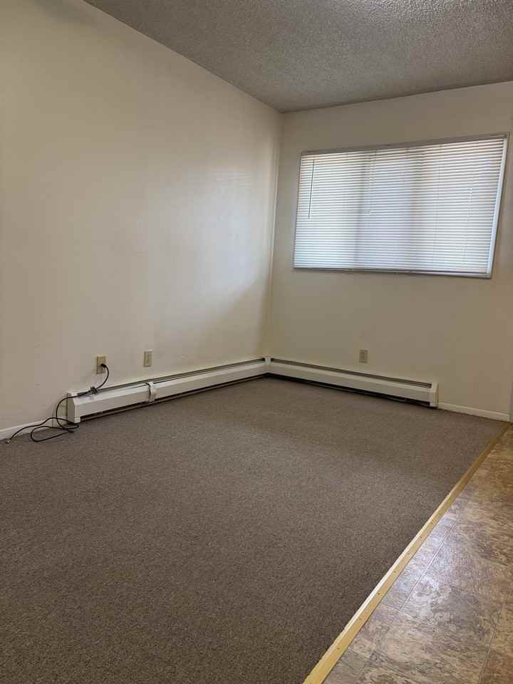 1101 Downey Street - Photo 3 of 6