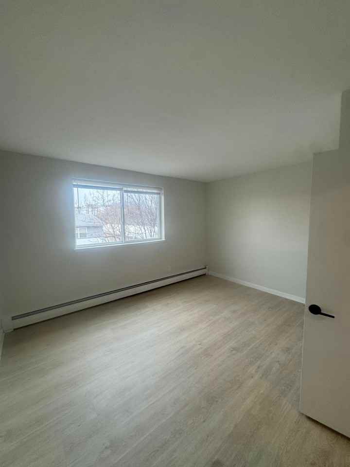 1528 Elmwood Ave - Photo 6 of 10