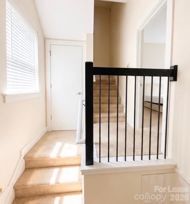 617 Mcninch St - Photo 3 of 17