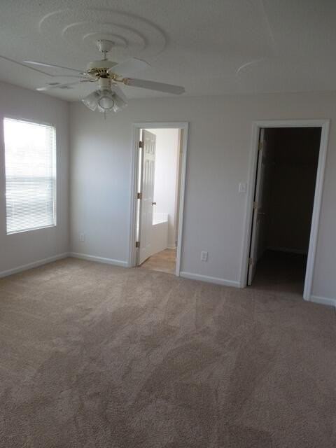 4603 Manteo Ct - Photo 7 of 11