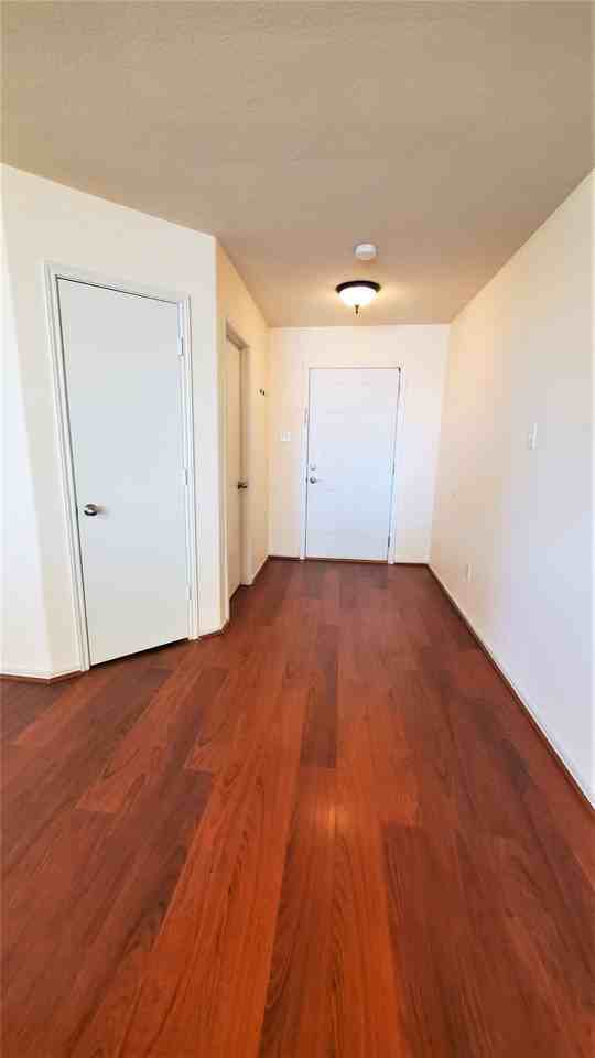7536 Almondale Dr - Photo 3 of 17
