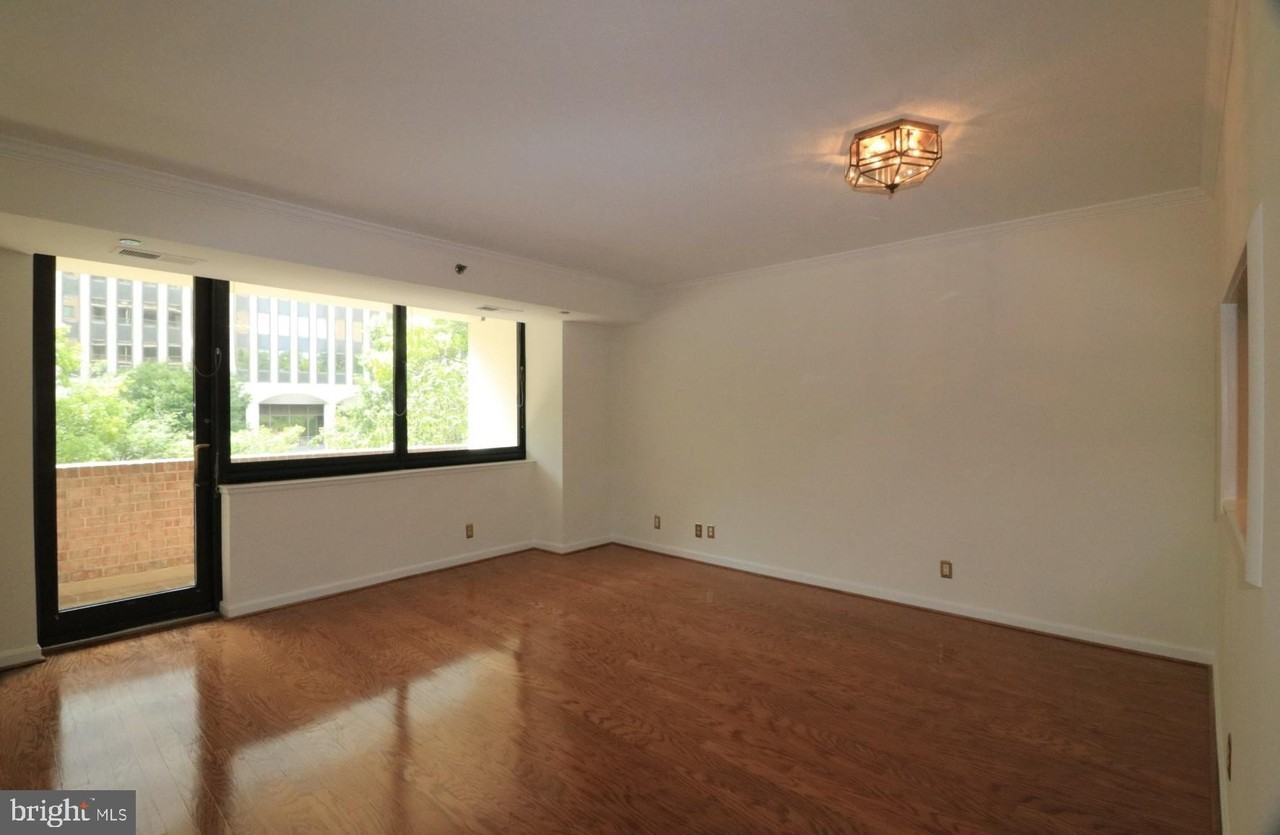 1805 Crystal Dr #204S - Photo 4 of 5