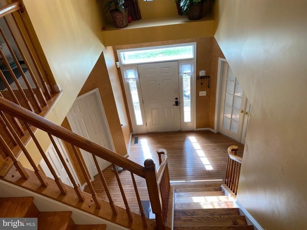 3128 Tulip Tree Pl - Photo 3 of 18