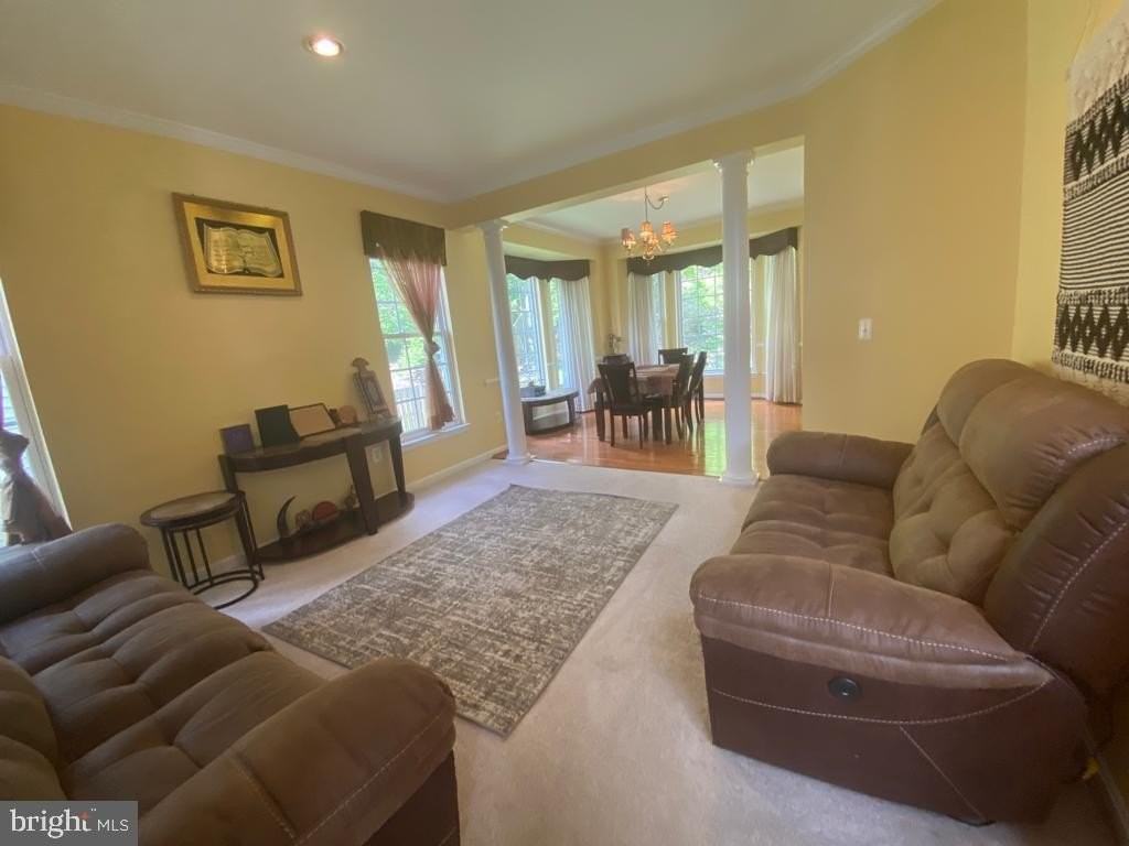 3128 Tulip Tree Pl - Photo 6 of 18