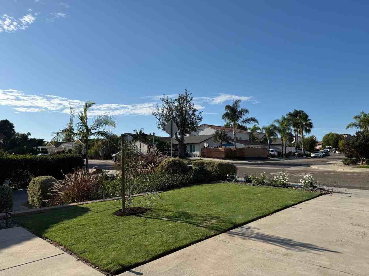 2503 Levante St - Photo 3 of 11