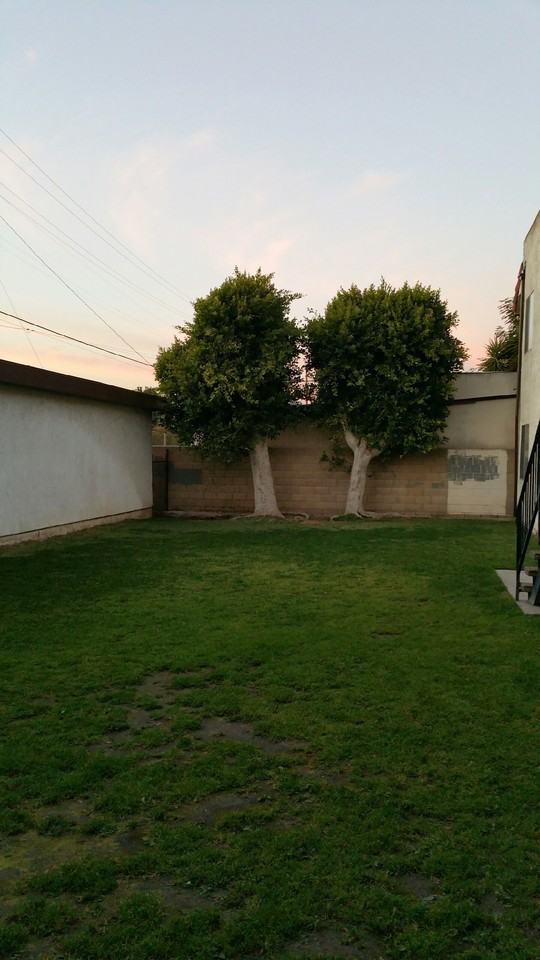 Pico Rivera Apartments - Photo 5 of 5