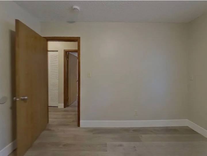 2813 Deliverance Drive - Photo 6 of 15